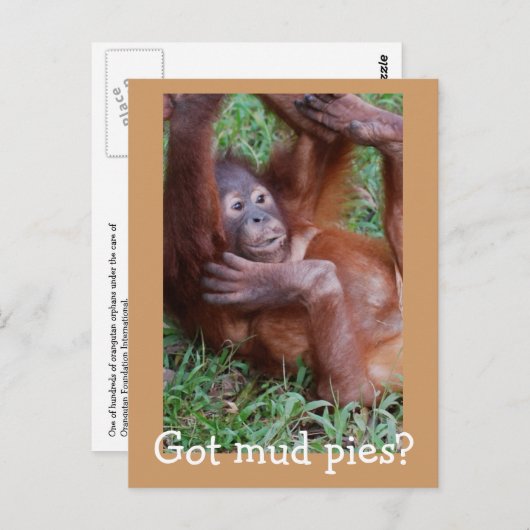 Heb je moddertaarten? briefkaart (Voorkant / Achterkant)