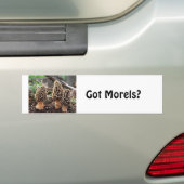 Heb je Morels? Bumpersticker (Op auto)