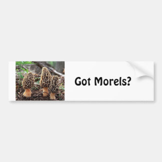Heb je Morels? Bumpersticker