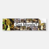 Heb je Morels? Paddenstoelen Bumpersticker (Voorkant)