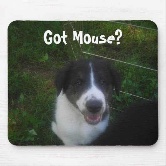 Heb je Mouse? Muismat (Voorkant)