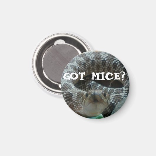 Heb je muizen? gnose magneet (Voorkant / Achterkant)