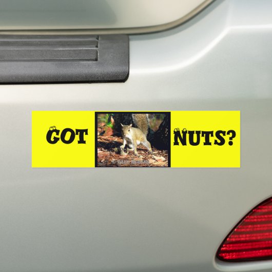 Heb je noten? bumpersticker (Op auto)