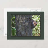 Heb je Nuts? Briefkaart (Voorkant / Achterkant)