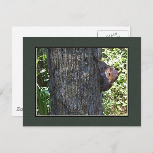 Heb je Nuts? Briefkaart (Voorkant / Achterkant)