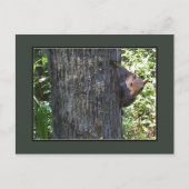 Heb je Nuts? Briefkaart (Voorkant)