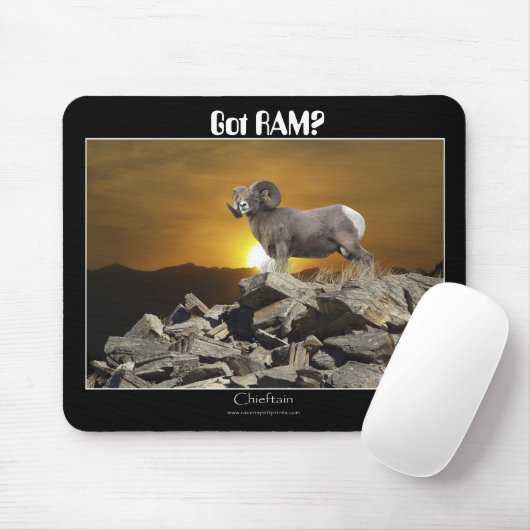 Heb je RAM? Muismat (Met muis)