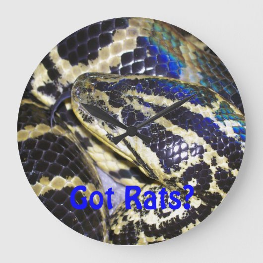 Heb je Rats? Anaconda Clock Grote Klok (Voorkant)