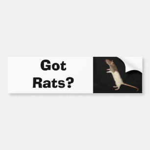 Heb je Rats? Bumpersticker