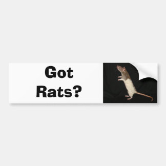 Heb je Rats? Bumpersticker