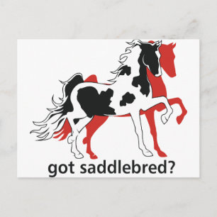 Heb je Saddlebred? Briefkaart