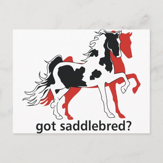 Heb je Saddlebred? Briefkaart (Voorkant)