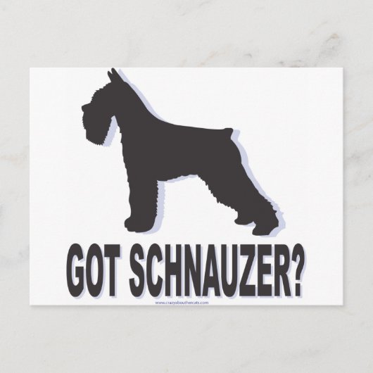 Heb je Schnauzer? Briefkaart (Voorkant)