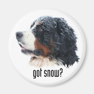 Heb je sneeuw? Bernese Magnet