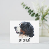 Heb je sneeuw? Bernese Mountain Dog Briefkaart (Staand voorkant)