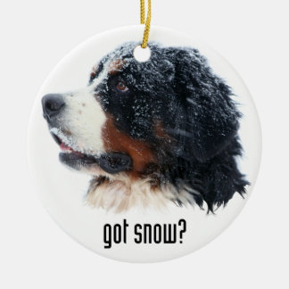 Heb je sneeuw? Bernese Mountain Dog Keramisch Ornament