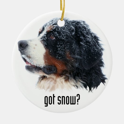 Heb je sneeuw? Bernese Mountain Dog Keramisch Ornament (Voorkant)
