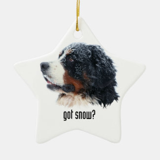 Heb je sneeuw? Bernese Mountain Dog Keramisch Ornament