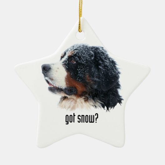 Heb je sneeuw? Bernese Mountain Dog Keramisch Ornament (Voorkant)