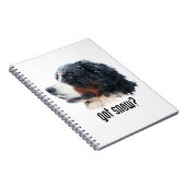 Heb je sneeuw? Bernese Mountain Dog Notitieboek (Rechterzijde)