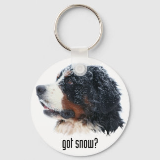 Heb je sneeuw? Bernese Mountain Dog Sleutelhanger
