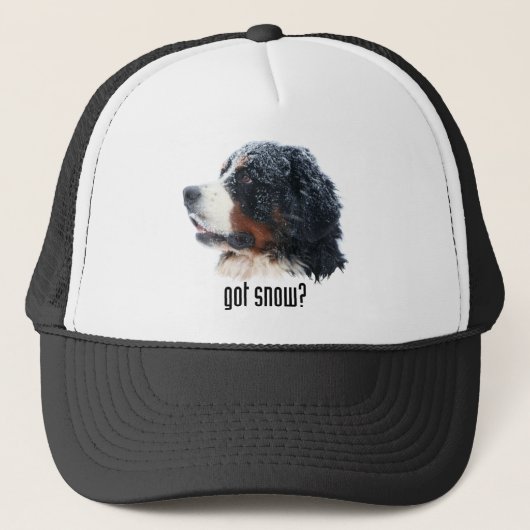 Heb je sneeuw? Bernese Pet (Voorkant)
