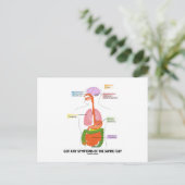 Heb je symptomen van de varkensgriep? (Anatomie) Briefkaart (Staand voorkant)