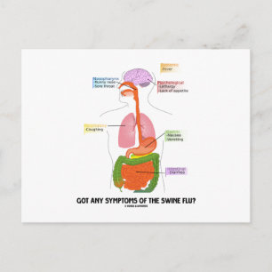 Heb je symptomen van de varkensgriep? (Anatomie) Briefkaart