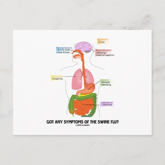 Heb je symptomen van de varkensgriep? (Anatomie) Briefkaart (Voorkant)