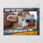 Heb je vaccinatie diergeneeskundig herinneringsber briefkaart (Voorkant)