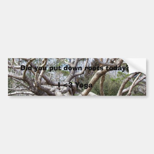Heb je vandaag de wortels neergezet? bumpersticker (Voorkant)