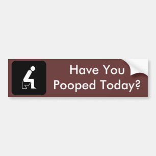 Heb je vandaag gepoold? bumpersticker
