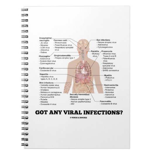 Heb je virale infecties? Medische anatomische Humo Notitieboek (Voorkant)