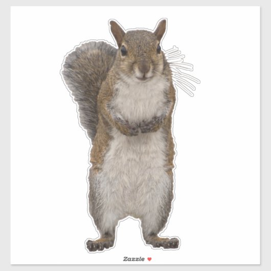 Heb je wat noten? sticker (Vel)