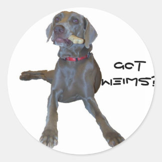 Heb je Weims? Pin Weimaraner Ronde Sticker