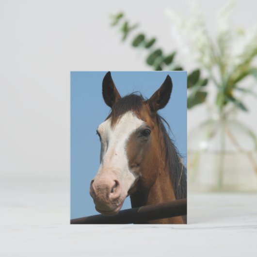 Heb je wortelen? briefkaart (Staand voorkant)