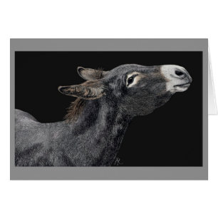 "Heb je worteltjes?" - Donkey Kaart