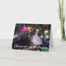 Heb jezelf een Cozy Cat onder kerstboom