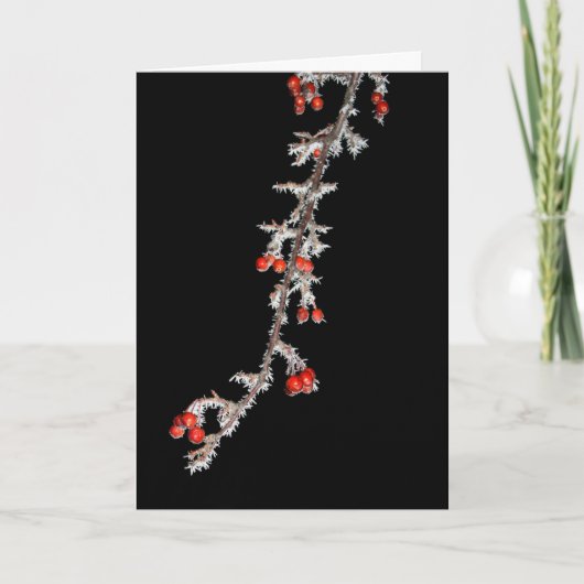 Heb jezelf een kerstmis met Berry Kaart (Voorkant)