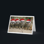 Heb Kerstmis Meerkat! Feestdagen Kaart<br><div class="desc">Vrolijke Kerstmis van het Wenskaart Meerkats!</div>