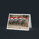 Heb Kerstmis Meerkat! Feestdagen Kaart<br><div class="desc">Vrolijke Kerstmis van het Wenskaart Meerkats!</div>