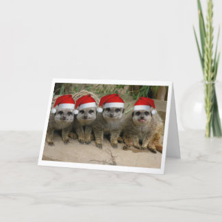 Heb Kerstmis Meerkat! Feestdagen Kaart