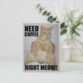 HEB KOFFIE NOODZAKELIJK. Manx Cat Sitting Funny Briefkaart (Staand voorkant)