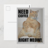 HEB KOFFIE NOODZAKELIJK. Manx Cat Sitting Funny Briefkaart (Voorkant / Achterkant)