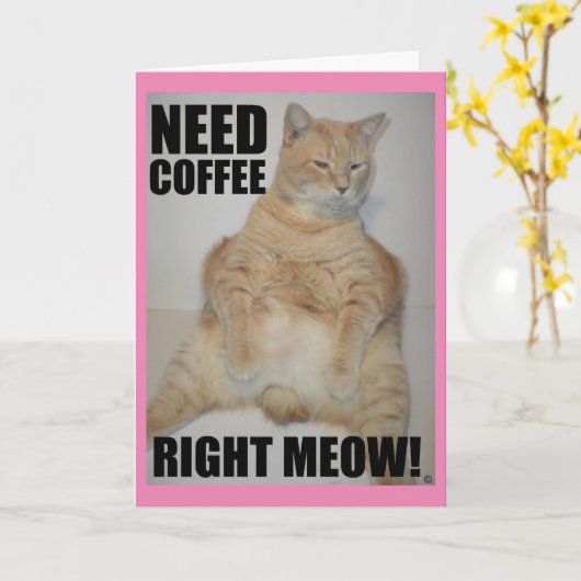 HEB KOFFIE NOODZAKELIJK. Manx Cat Sitting Funny Kaart (Gele Bloem)