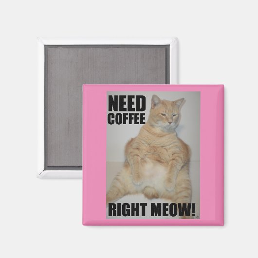 HEB KOFFIE NOODZAKELIJK. Manx Cat Sitting Funny Magneet (Voorkant / Achterkant)