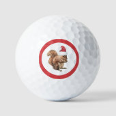 Heb NUTTY Good Kersteekhoorn Holiday Golfballen (Voorkant)