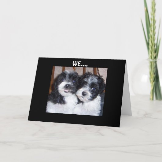 HEB ONZE HOOFDEN SAMEN-BIRTHDAY KAART (Voorkant)