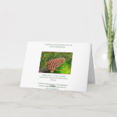 Heb ooit het Merriest Kerstfeest gehad Feestdagen Kaart (Achterkant)