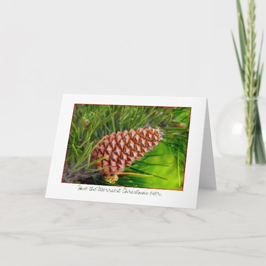 Heb ooit het Merriest Kerstfeest gehad Feestdagen Kaart (Voorkant)